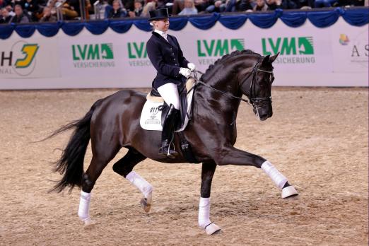 Foto: Dante Weltino unter Therese Nilshagen/SWE - Fotograf: LL-Foto