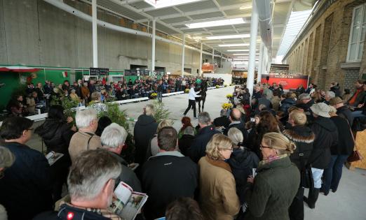 Foto: Pflastermusterung beim 51. Trakehner Hengstmarkt - Fotograf: Stefan Lafrentz 