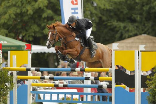 Foto: Abahatchi auf dem Trakehner Bundesturnier - Fotograf: Stefan Lafrentz. 