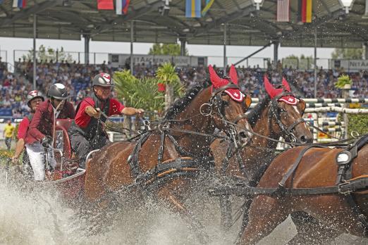 Foto: Es zeigt den Schweizer Vierspännerfahrer Werner Ulrich, der beim CHIO Aachen den katarischen Springreiter Hamad Ali Mohamed Al Attiyah als „Passagier“ an Bord hat - Fotograf: CHIO Aachen/ Michael Strauch