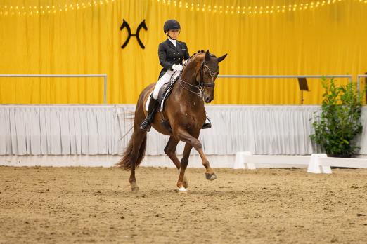 Foto: Sieger des vergangenen Jahres: Life Time FRH und Charlott-Maria Schürmann - Fotograf: Hannoveraner Verband