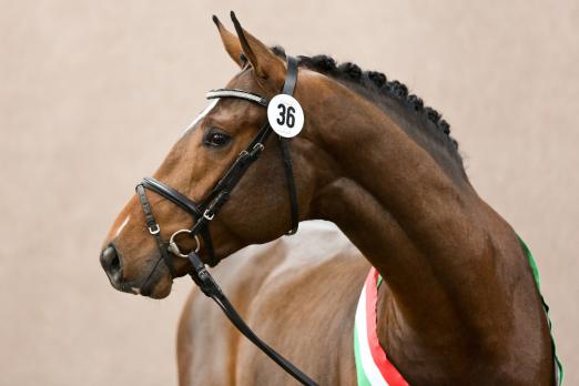 Foto: Like a Diamond NRW