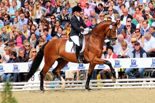 Foto: Lilliano OLD unter der Züchtertochter Christiane Schulte-Varendorff beim Reitpferde-Bundeschampionat 2014 - Fotograf: Judith Schempf