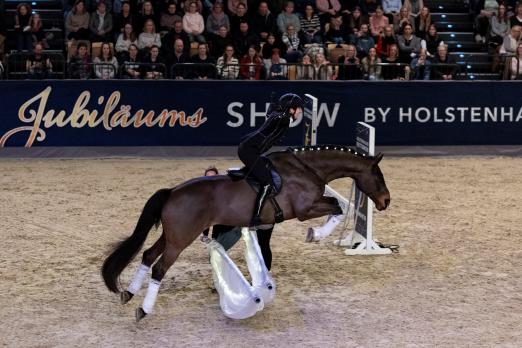 Foto: Die große Abendshow am Samstag, 25. April steht unter der kreativen Leitung von Lisa Röckener. Unter dem Titel „Eine Reise um die Welt“ erinnert die Inszenierung an 20 Jahre Partnerländer bei Horses & Dreams - Fotograf: reitsport-hellmann.de