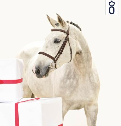 Foto: Liv Tyler v. Durango VDL - Lucky Boy - Cordeur - Fotograf: OLD Art