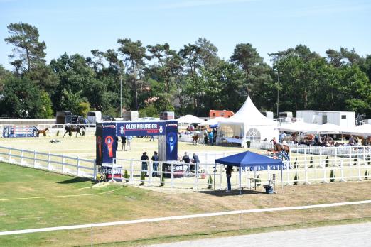 Foto: Die Präsentation der Elite-Fohlenkollektion findet im Reiterwaldstadion des Oldenburger Pferde Zentrums Vechta statt - Fotograf: Gr. Feldhaus