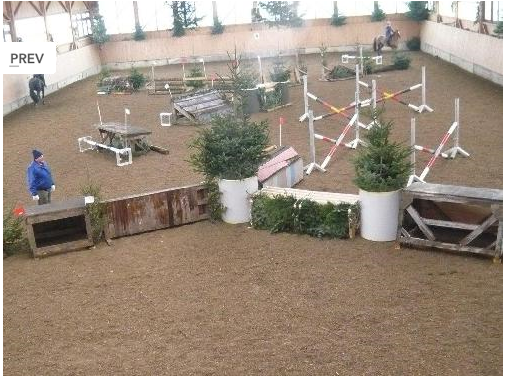 Foto: Indoorvielseitigkeitslehrgang auf dem Lußhof in Laupheim - Fotograf: Lußhof Laupheim