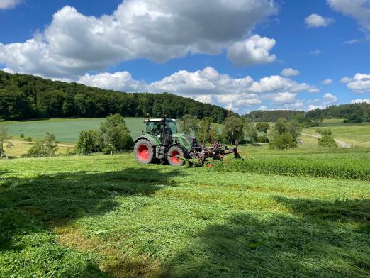 Foto: Luzerne mähen im Haupt- und Landgestüt Marbach - Fotograf: Dr. Astrid von Velsen-Zerweck