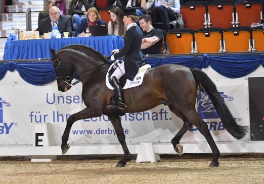 Foto: Helen Langehanenberg und Damsey FRH heimsten zwei Siege beim K+K Cup in Münster ein - Fotograf: Fotodesign Feldhaus