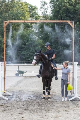 Foto: Pferdekühlung à la Cappeln - Fotograf: Michael Rzepa