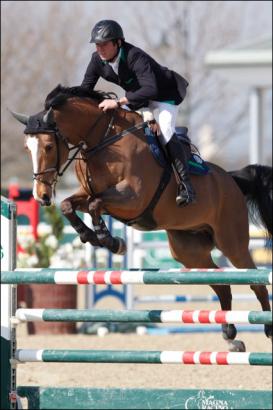 Foto: Beat Mändli (SUI) und sein Louis IV bei der ersten Runde im Magna Racino (AUT) - Fotograf: Hervé Bonnaud - 1clicphoto.com & Tomas Holcbecher