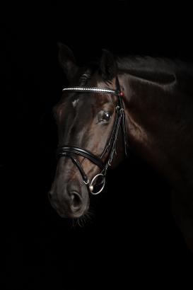 MAGIC TACK