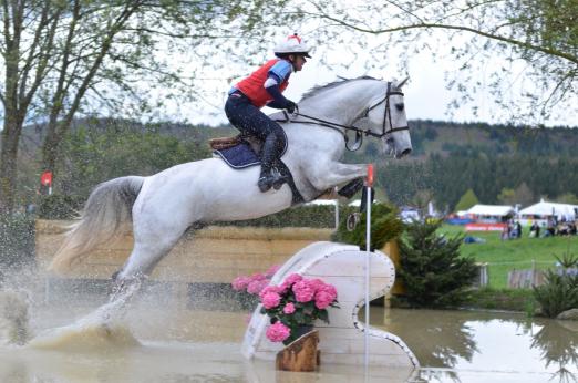 Foto: Wasserhindernis - Fotograf: Thomas Hartig/equistock.de