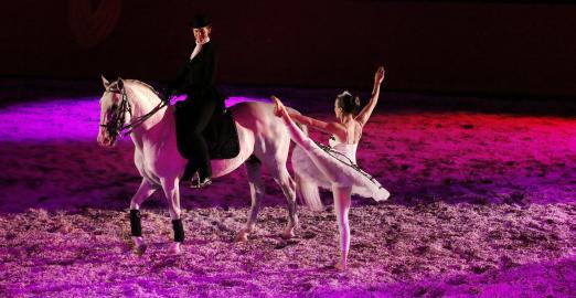 Foto:Die Bewegungen von Pferd und Ballerina finden sich im Tanz – ein berührendes Pas de deux bei den Marbach Classics im vergangenen Jahr: Vera Munderloh, aus dem Stall Anja Beran, bereicherte 2016 das Programm. 2017 wird Anja Beran das Publikum wieder verzaubern - Fotograf: Thomas Warnack