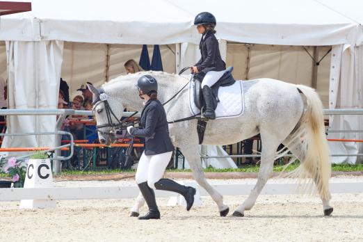 Foto: Marie Groll auf Denaria M in der Führzügelklasse - Fotograf: Reit- und Fahrverein Röhlingen Foto: Marie Groll auf Denaria M in der Führzügelklasse - Fotograf: Reit- und Fahrverein Röhlingen