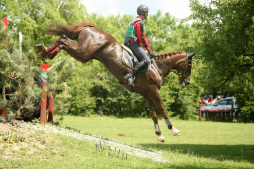 Foto: Martin Dimitrov and Whanyano emerged to take individual gold for the host nation at the FEI Balkan Eventing Championship 2014 at Shumen in Bulgaria last weekend. - Fotograf: Krasimir Iskarov/FEI.