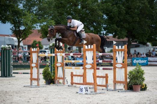 Foto: Max Weishaupt und Casall auf dem Weg zum Sieg - Fotograf: Christina Schweiger 