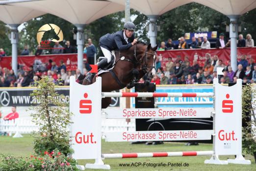 Foto: Michael Kölz gewinnt mit FST Dipylon den Großen Preis der Sparkasse Spree-Neiße beim Sattelfest in Forst - Fotograf: ACP Andreas Pantel