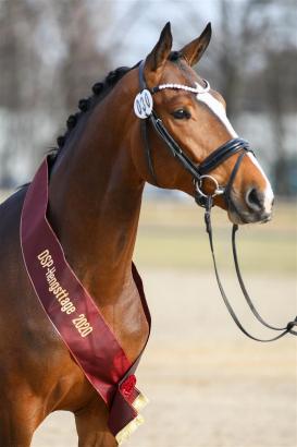 Foto: Million Capital HH - Fotograf: LL