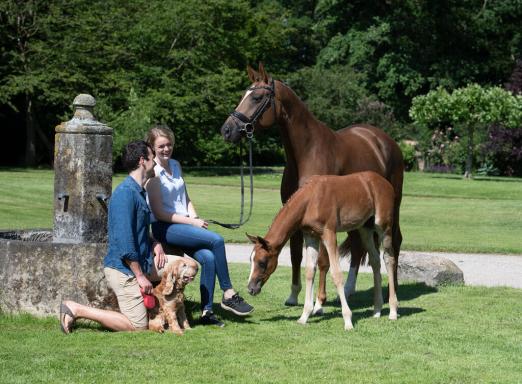 Foto: Mitglied werden und profitieren - Fotograf: ©OLD Art
