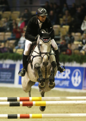 Foto: Jörg Naeve/D’accord (Sieger 2016 im Großen Preis des Förderpools SHS Holstein International - Fotograf: SHS Holstein International