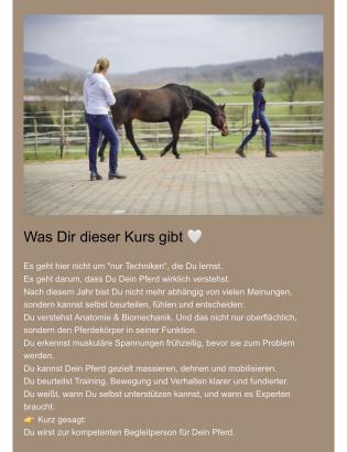 Zum Vergrößern einfach aufs Bild klicken!