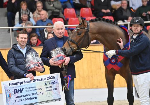 Foto: Oldenburger Hauptprämiensieger 2025 Bon Bolero OLD v. Bon Vivaldi mit Züchter Matthias Alexander Krug, Besitzer Heinz Ahlers und Reiter Eike Bewerungen - Fotograf: Beelitz