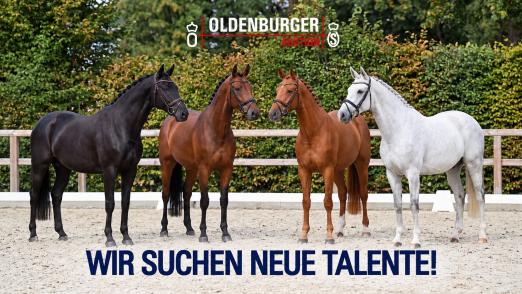 Foto: Oldenburger Auktion Vier neu Talente - Fotograf: ©OLD-Art / KI-generiert Foto: Oldenburger Auktion Vier neu Talente - Fotograf: ©OLD-Art / KI-generiert