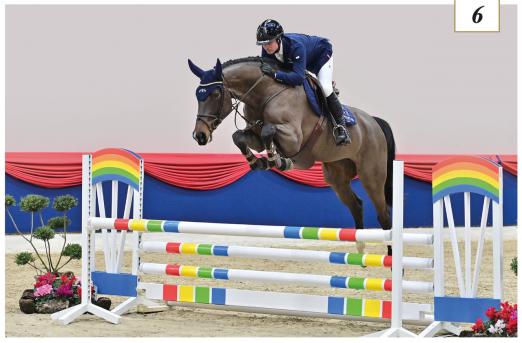 Foto: Die vierjährige Siegerstute Only You, Kat. Nr. 6, v. Ogano - Balou du Rouet - Lord Liberty, stammt aus einem erstklassigen Stamm - Fotograf: Gr. Feldhaus