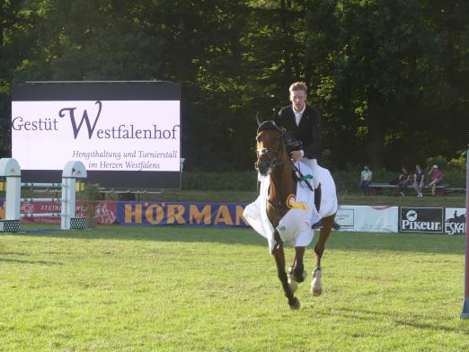 Foto: Tim Rieskamp-Goedeking bei der Ehrenrunde im Championat von Steinhagen - Fotograf: PSV Steinhagen