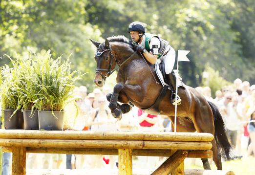 Foto: Jung und dynamisch – und sehr erfolgreich: Ricona unter Michael Jung, die Sieger beim Wiesbadener PfingstTurnier - Fotograf: WRFC, Toffi