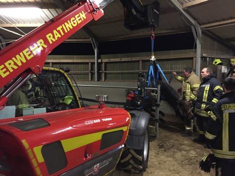 Foto: Das Pferd befand sich in einer hilflosen Lage in der Führanlage. - Fotograf: Feuerwehr Haan