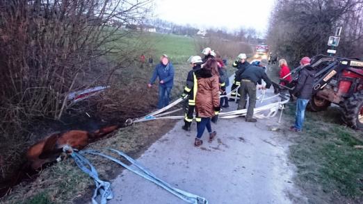 Foto: Tierrettung durch die Feuerwehr Dortmund - Fotograf: Feuerwehr Dortmund