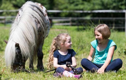 Foto: „Pferde für unsere Kinder e.V" bringt Kinder zum Strahlen - Foto: Thomas Hellmann