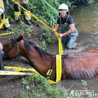 Foto: Pferderettung durch die Feuerwehr Rheurdt - Fotograf: Galka, Feuerwehr