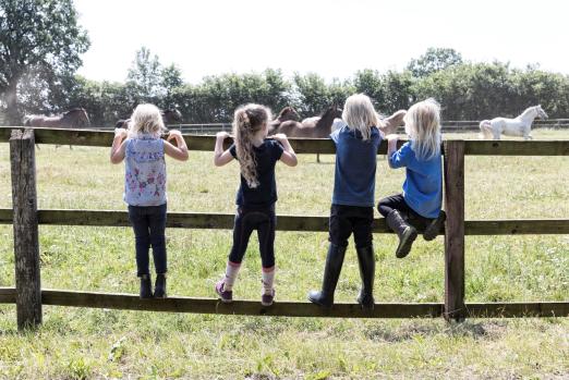 Foto: Der Reit- und Fahrverein Fürstenau e. V. wurde als fünfter Leuchtturmbetrieb des Projekts „Bundesweite Leuchttürme“ ausgezeichnet - Fotograf: Pferde für unsre Kinder (PfuK)