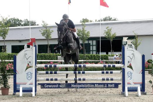 Foto: Auftakt für die jungen Springpferde in Klein Offenseth - hier Philipp Schulze mit Desperado Rex. Am Mittwoch geht es um die "Tickets" zu den Bundeschampionaten auf dem Gelände der Hengststation Maas J. Hell - Fotograf: Brueske Medien