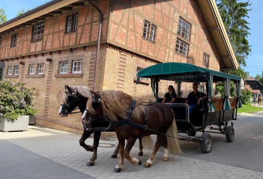 Foto: Ferienfahrten - Mit dem Planwagen das Gestütsareal entdecken - Fotograf: Gille-Eberhardt Foto: Ferienfahrten - Mit dem Planwagen das Gestütsareal entdecken - Fotograf: Gille-Eberhardt