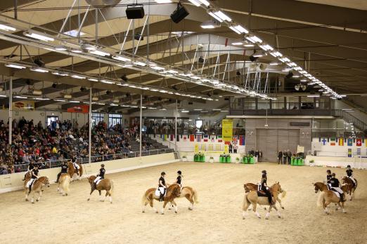 Foto: Bei der Hengstschau des Ponyverbandes Hannover in Verden präsentierten im Vorjahr die Haflinger anspruchsvolle Themen-Quadrillen - Fotograf: Ponyverband Hannover/ Pantel