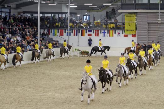 Foto: Zu den Höhepunkten der Hengstschau des Ponyverbandes Hannover in Verden gehört der Auftritt der großen Reitponyquadrille - Fotograf: Ponyverband Hannover/ Pantel