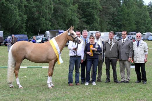 Foto: Den Siegertitel bei den Deutschen Reitpony Stuten sicherte sich im Vorjahr Reitland`s Feine Lady v. Stukhuster Rita-Don Carlos (Züchter und Besitzer: Lenert Busch, Stadland) - Fotograf: Ponyverband Hannover/ Pantel