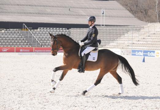 Foto: Preisspitze Ginster v. Icare d’Olympe AA - Fotograf: Stephan Kube