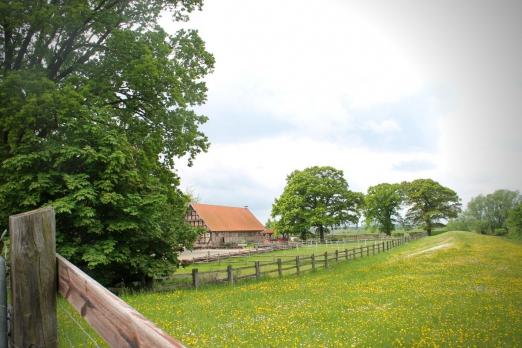 Foto: Hof von Unger - Fotograf: Röwer & Rüb