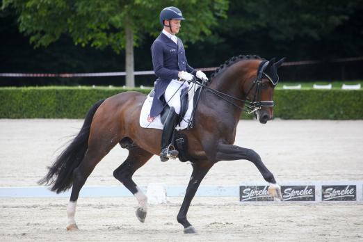 Foto: Mit Schwung zum Sieg im Grand Prix Special in Herzlake - Matthias Alexander Rath und Foundation - Fotograf: LL-Foto