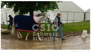 Foto: Vet-Check - Fotograf: CSIO St. Gallen 