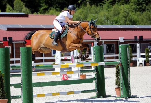 Foto: Alessandra Reich (OÖ) sorgte heute mit La Vita in der Junioren- und Young Rider Tour für den ersten österreichischen Sieg - Alessandra Reich (OÖ) mit La Vita - Fotograf: Fotoagentur Dill