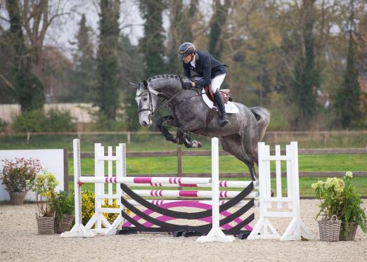 Foto: Acht hochtalentierte Reitpferde werden am 14. Dezember im Rahmen der Holsteiner Christmas Edition neue Besitzer finden. Unter ihnen die vierjährige Nika v. Cornet's Quaprice - Fotograf: Janne Bugtrup