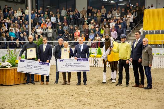 Foto: Hannoveraner Stute des Jahres: St.Pr.St. Reverie v. Rubiloh/Ehrentusch - Fotograf: Hannoveraner Verband