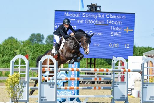 Foto: Der Holsteiner Landes- und Bundeschampion sowie Weltmeister der Jungen Springpferde Caillan zeigt sich neunjährig in Topform. Unter Rolf-Göran Bengtsson sprang er erneut zu Gold in Niebüll - Fotograf: RathmannVerlag/Malina Blunck