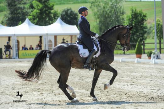 Foto: Steffen Peters/USA mit Rosamunde - Fotograf: Sabine Wegener/EQUITARIS